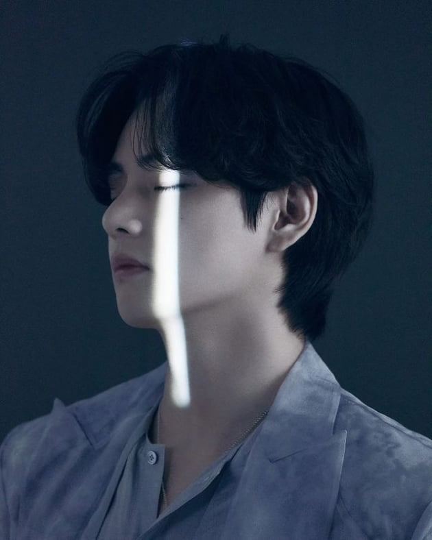 방탄소년단 뷔 /사진=뷔 인스타그램