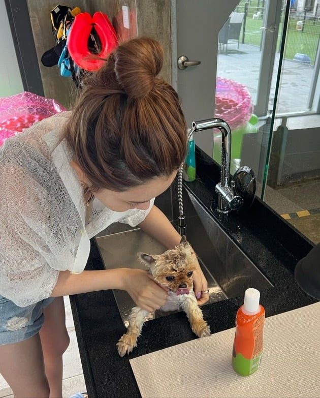 사진=이다해 인스타그램