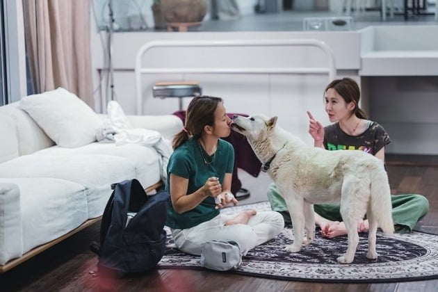 '엄태웅♥' 윤혜진, 슈퍼스타 이효리와 친구됐다 "지금까지 변하지 않고 좋아해"[TEN★]