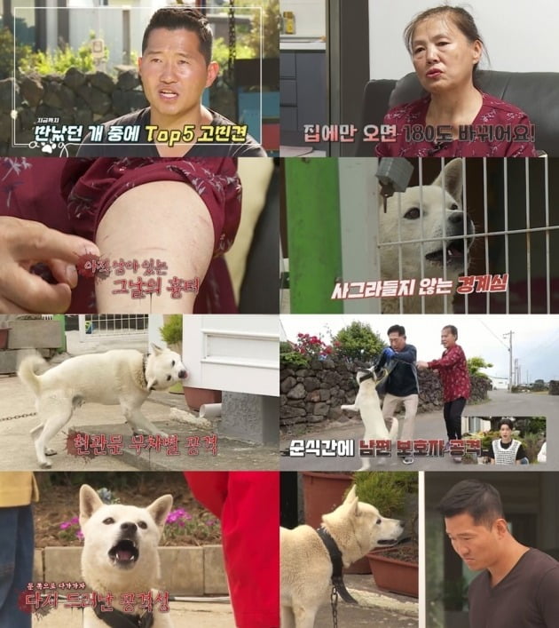 사진제공= KBS2