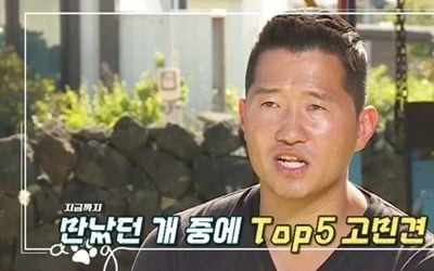 강형욱 훈련사, 역대급 입질견에 고민…"지금까지 만난 개 중에 TOP5" ('개훌륭')