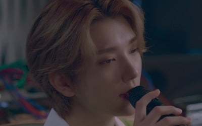 세븐틴 조슈아, 잘생김에 한 번 달달한 음색에 두 번 녹네…'double take' 커버
