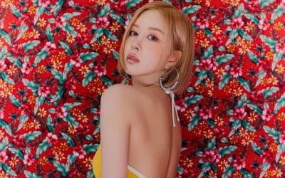 우주소녀 다영, 아이돌계 제시라 불릴듯…깊게 파인 등근육에 흠칫[TEN★]