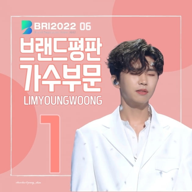 임영웅, 6월 가수 브랜드평판 1위 등극…2개월 연속 1위