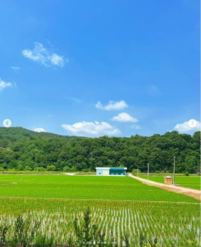 레드벨벳 조이, 그림 같은 수채화...수수한 모습으로 어쩌다 전원일기[TEN★]