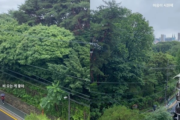 김아중, 빗소리 ASMR "비 오는 게 좋아, 마음이 시원해"[TEN★]