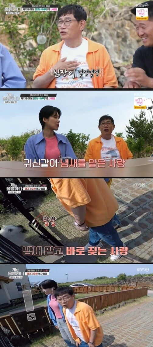 '개는 훌륭하다'(사진=방송 화면 캡처)
