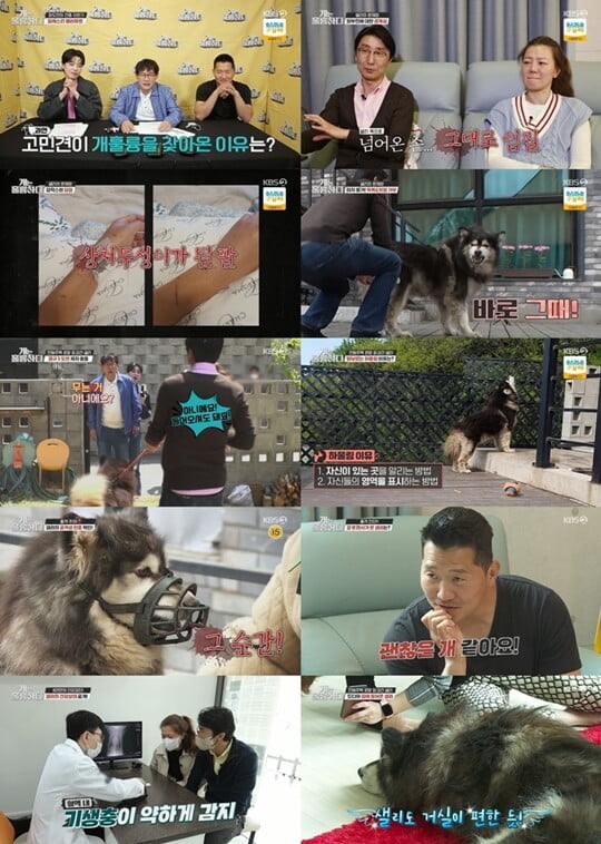 (사진=방송캡처)