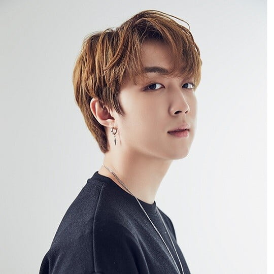 핀업 (사진=로칼하이레코즈 제공)