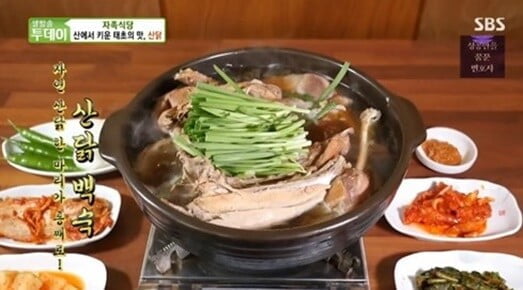 산닭 백숙, 산에서 키워 쫄긱한 육질에 한약재를 넣어 담백한 매력('생방송 투데이')