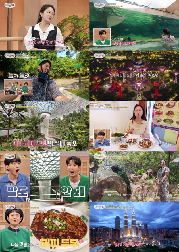 /사진=채널S '다시갈지도' 방송화면