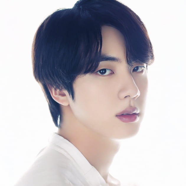 방탄소년단 진, 케이돌 월간랭킹 4개월 연속 우승