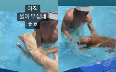 엄태웅, ♥윤혜진‧딸과 수영장 데이트…"물이 무섭네"[TEN★]