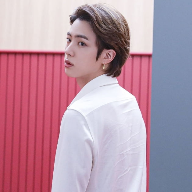 방탄소년단 진, 진피파니.. 지니어스 코리아 6월 K-POP 차트 톱 10