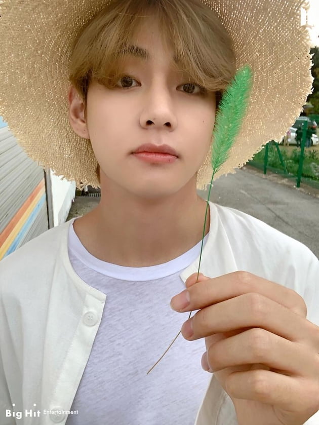 방탄소년단 뷔, "인성 착하고 붙임성 있어" 제이홉 'MORE'MV 카메오 목격담