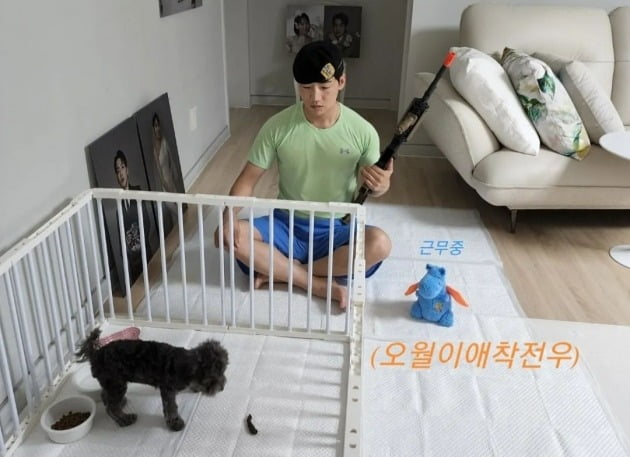 '한영♥' 박군, 집에서 경계 근무…특전사 출신의 칼각 "가정 평화 유지 중"[TEN★]