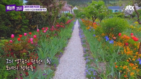 [종합] '트민남' 전현무, '힙한' 모네 집 창문에 반했다 "우리 집도 바꿔야지"('톡파원25시')