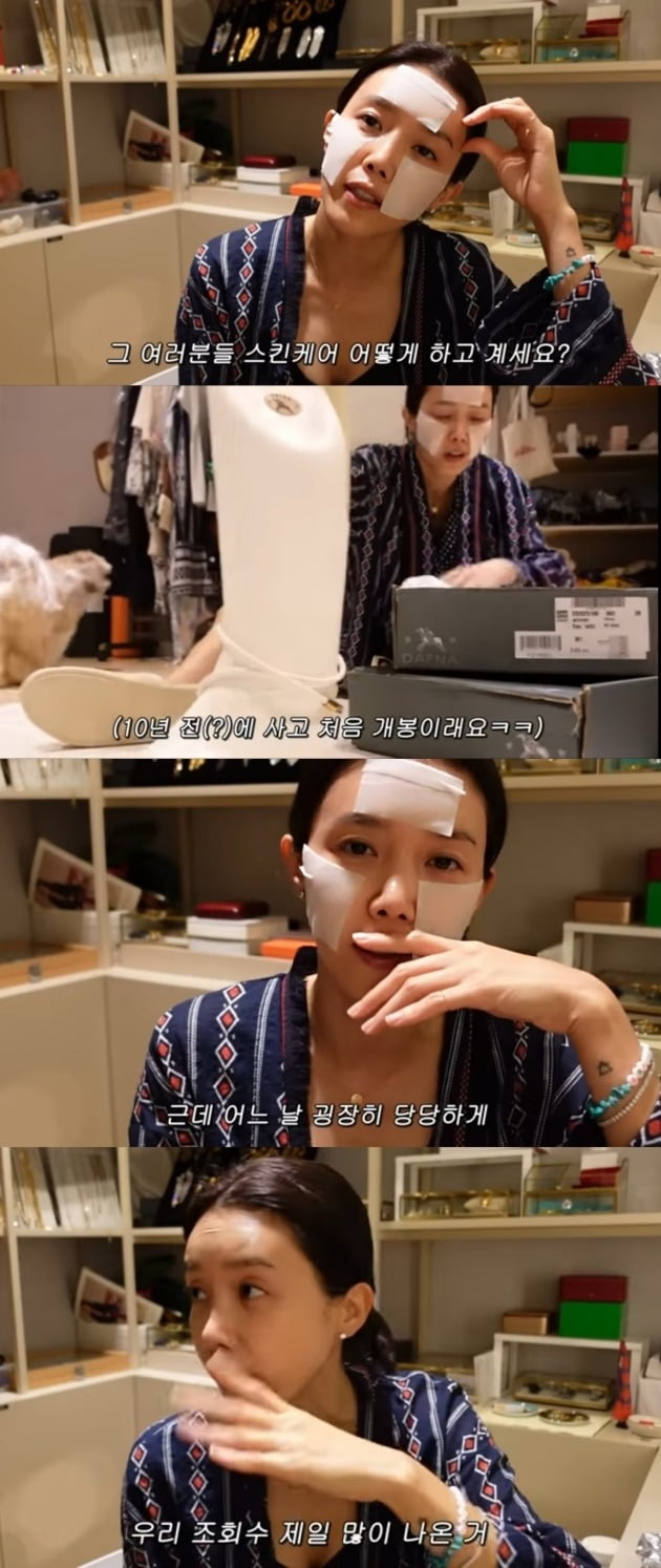 사진=유튜브 채널 '채정안TV'영상 캡처