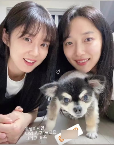 '6세 연하♥' 장나라, 표예진과 11살 차이도 무색...뱀파이어 미모[TEN★]