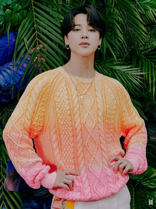방탄소년단 지민, 아이튠즈 119개국 '1위'…역사상 최단기간·최초 신기록 쾌거