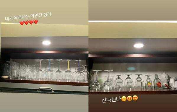 '애주가' 손담비, ♥이규혁과 둘이 사는데…도대체 와인잔이 몇 개야?[TEN★]