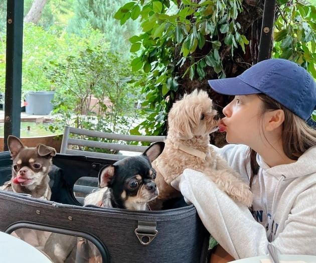 '이욱♥' 벤, 품 넉넉한 후드 티셔츠+모자 착용한 임산부…"다 같이 외식"[TEN★]