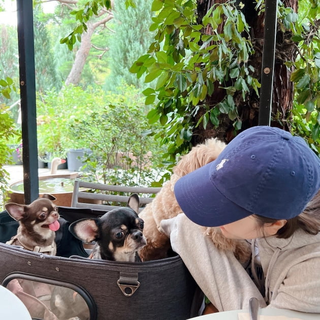 벤 /사진=벤 인스타그램