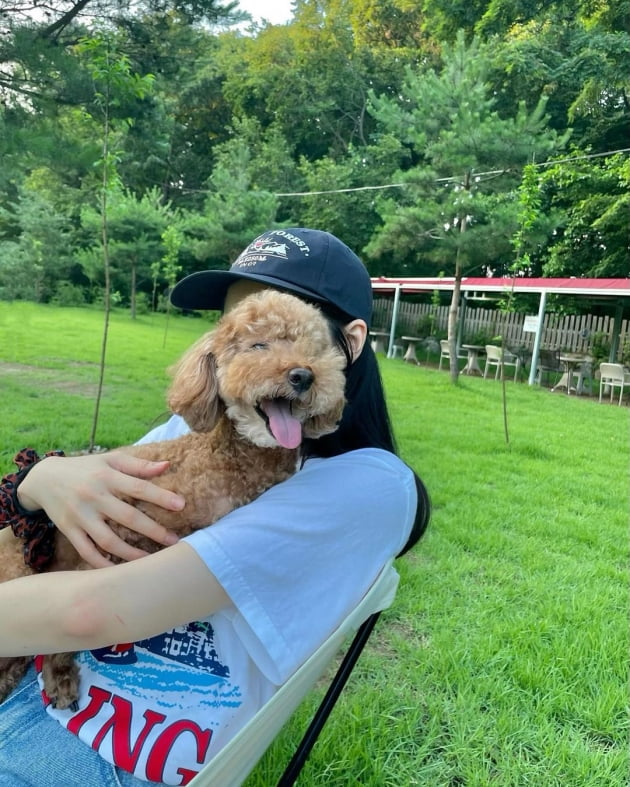 "이때다"…'전진♥' 류이서, 기회 잡은 새댁 "신났네요 흐흐"[TEN★]