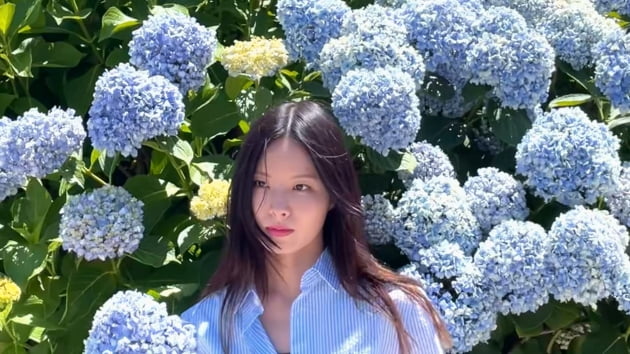 사진제공=뉴엔트리