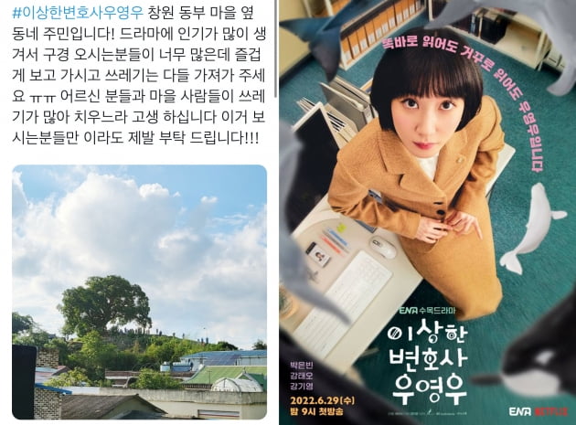 '우영우' 팽나무 마을은 "쓰레기 소굴"…힐링 드라마의 악영향[TEN스타필드]