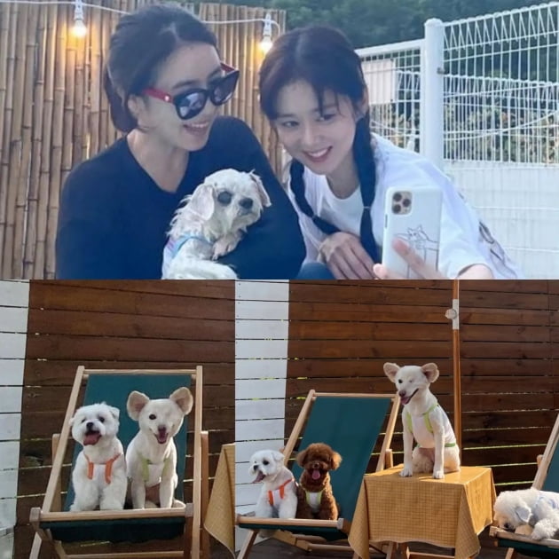 /사진=장성원 인스타그램