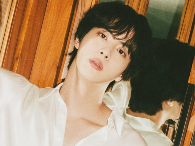 방탄소년단 진, 명화 같은 아름다움.. ‘美의 남신’