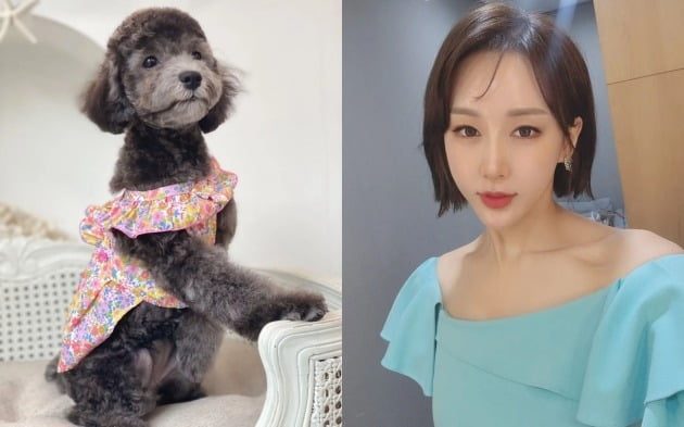 사진=한영 인스타그램