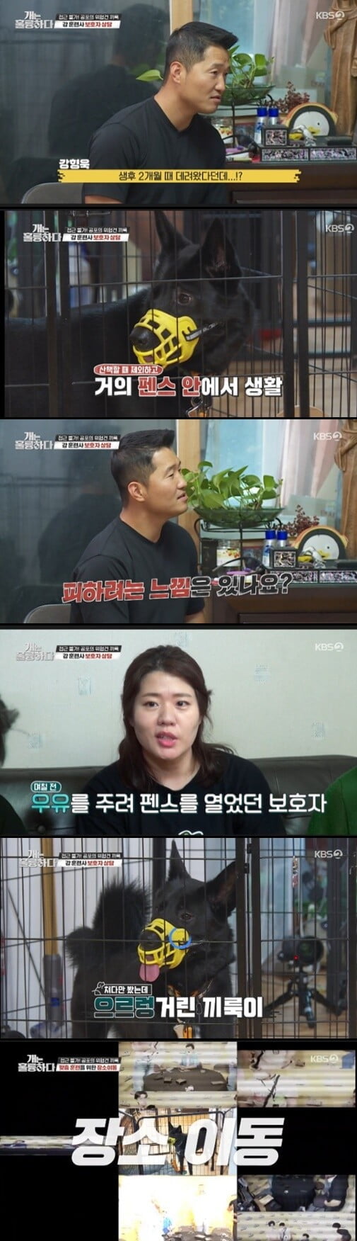 '개는 훌륭하다'(사진=방송 화면 캡처)