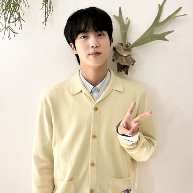 美 매체 "방탄소년단 진, 비상 선언 시사회 떳더니...800여개 기사 쏟아져"  