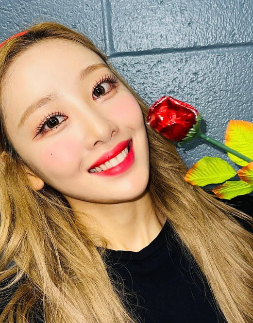 이브, 누가봐도 '조보아' 닮은꼴…콕 누르면 과즙이 팡[TEN★]