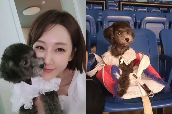 /사진=한영 인스타그램