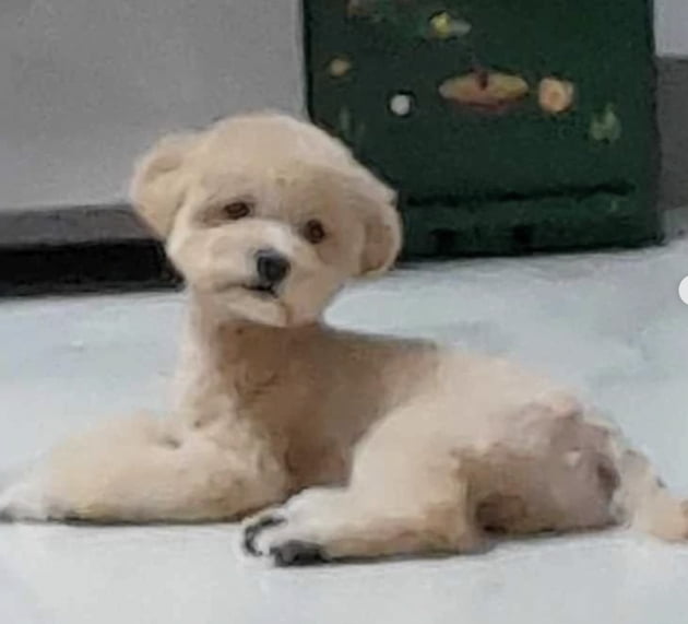 김현숙, 알고보니 두 아들 맘…"예쁜데 더 예뻐진 둘째 아들" [TEN★]