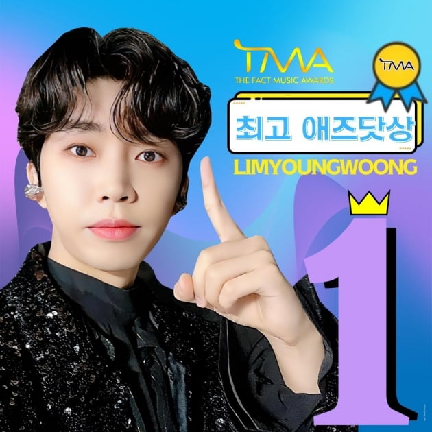 임영웅, 2022 더팩트 뮤직 어워즈(TMA)' 팬앤스타 부문 최애상 1위