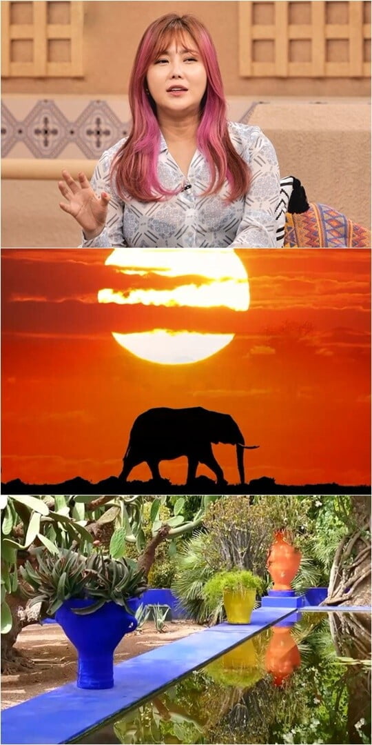(사진=채널S)