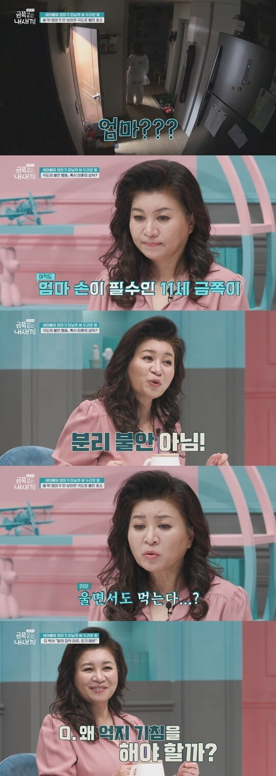 (사진=채널A)