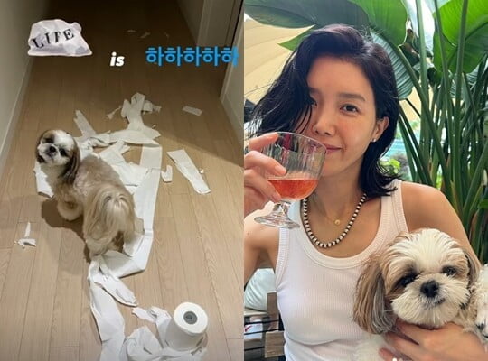 (사진=채정안 SNS)