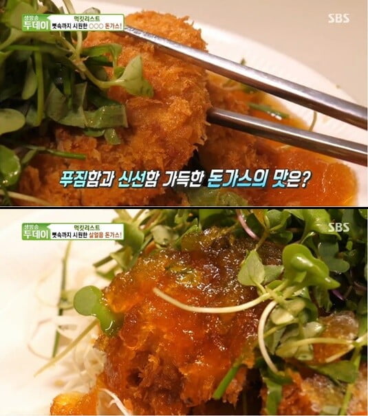 살얼음 돈가스, 고온에 빠르게 튀겨내 살얼음에도 고소하고 바삭한 맛('생방송 투데이')