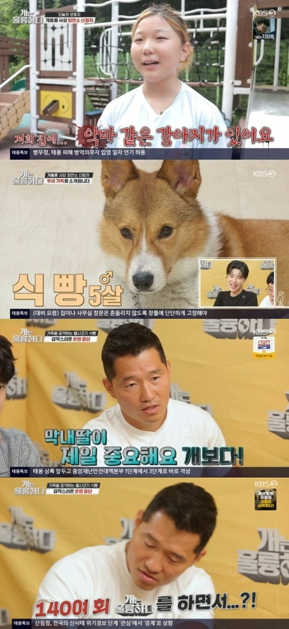 사진=KBS '개훌륭' 방송 화면.
