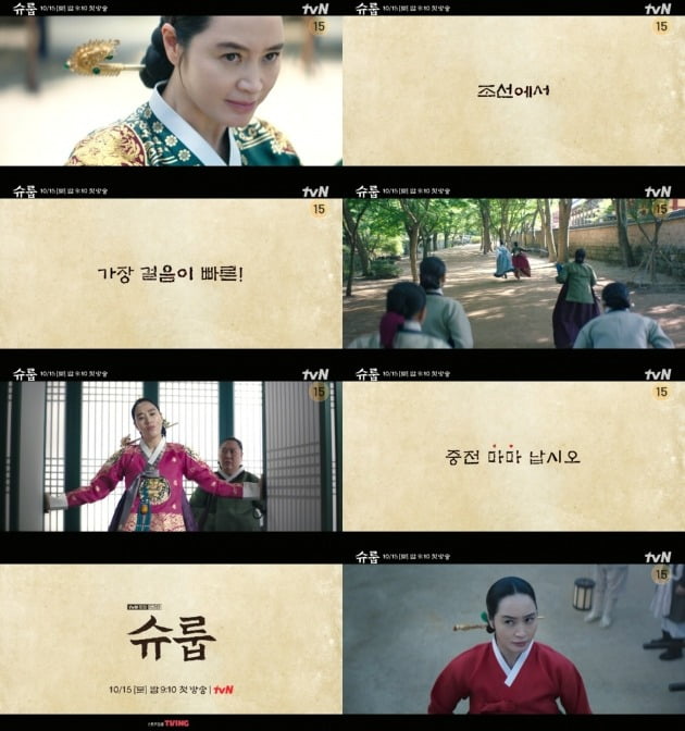 '슈룹' 포스터./사진제공=tvN