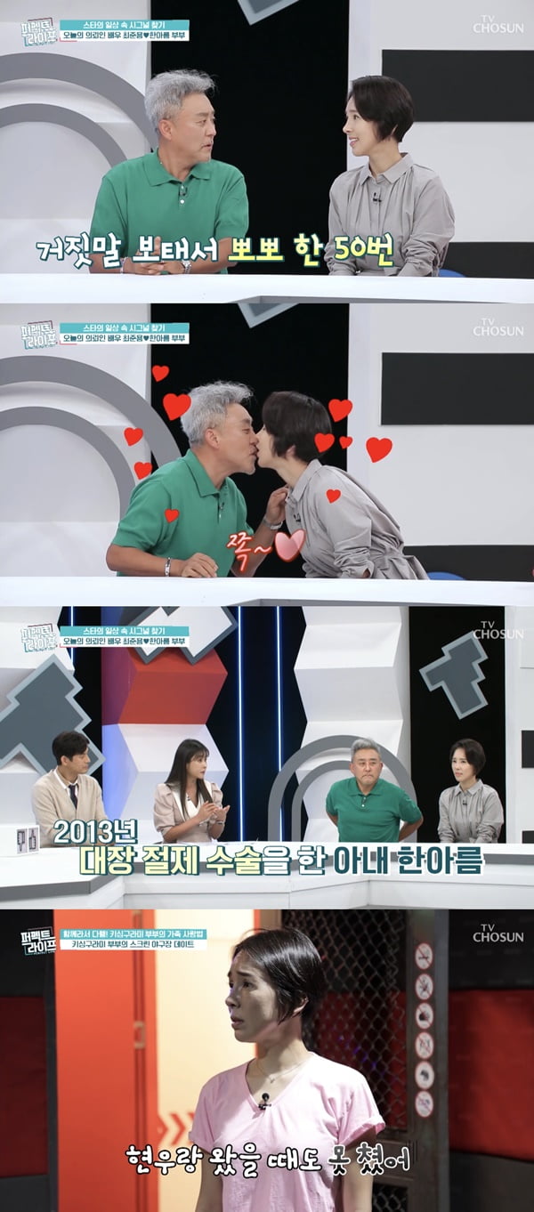 /사진=TV조선 '퍼펙트 라이프' 방송 화면 캡처