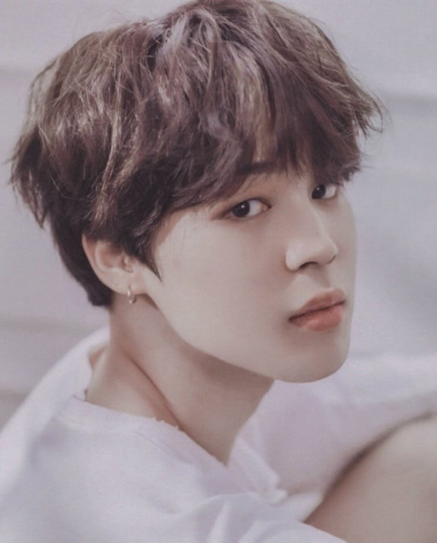 방탄소년단 지민, 인도 음식 언급에 쏟아지는 현지 보도..세계 인구 강국 휩쓰는 초절정 인기