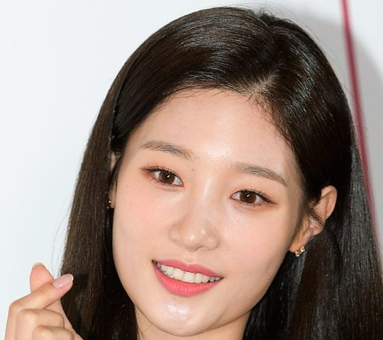 정채연, 쇄골 골절 수술 그 후…"죄송하고 또 감사, 잘 회복 중"[TEN★]