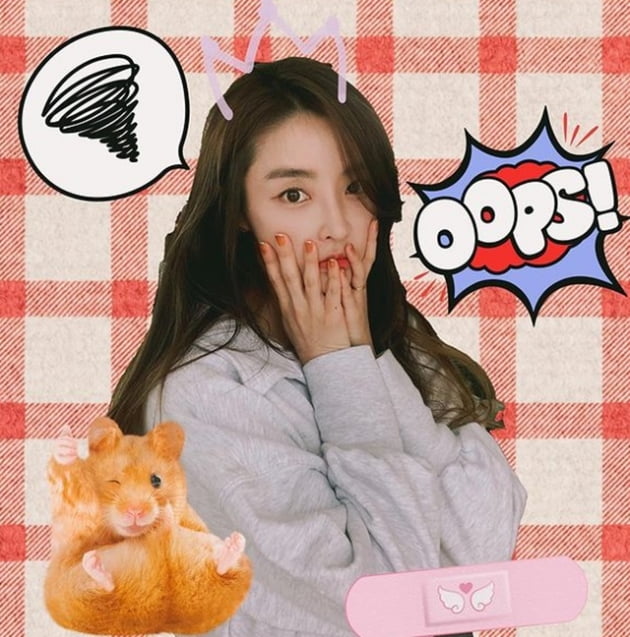 /사진=정유미 인스타그램