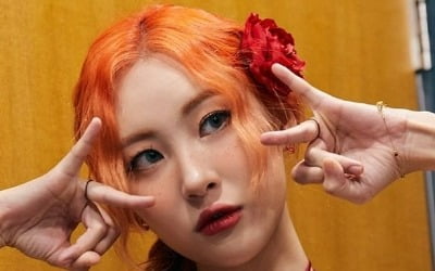 선미, 황당 루머에 입장 밝혔다 [TEN★]